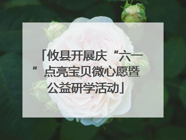 攸县开展庆“六一”点亮宝贝微心愿暨公益研学活动